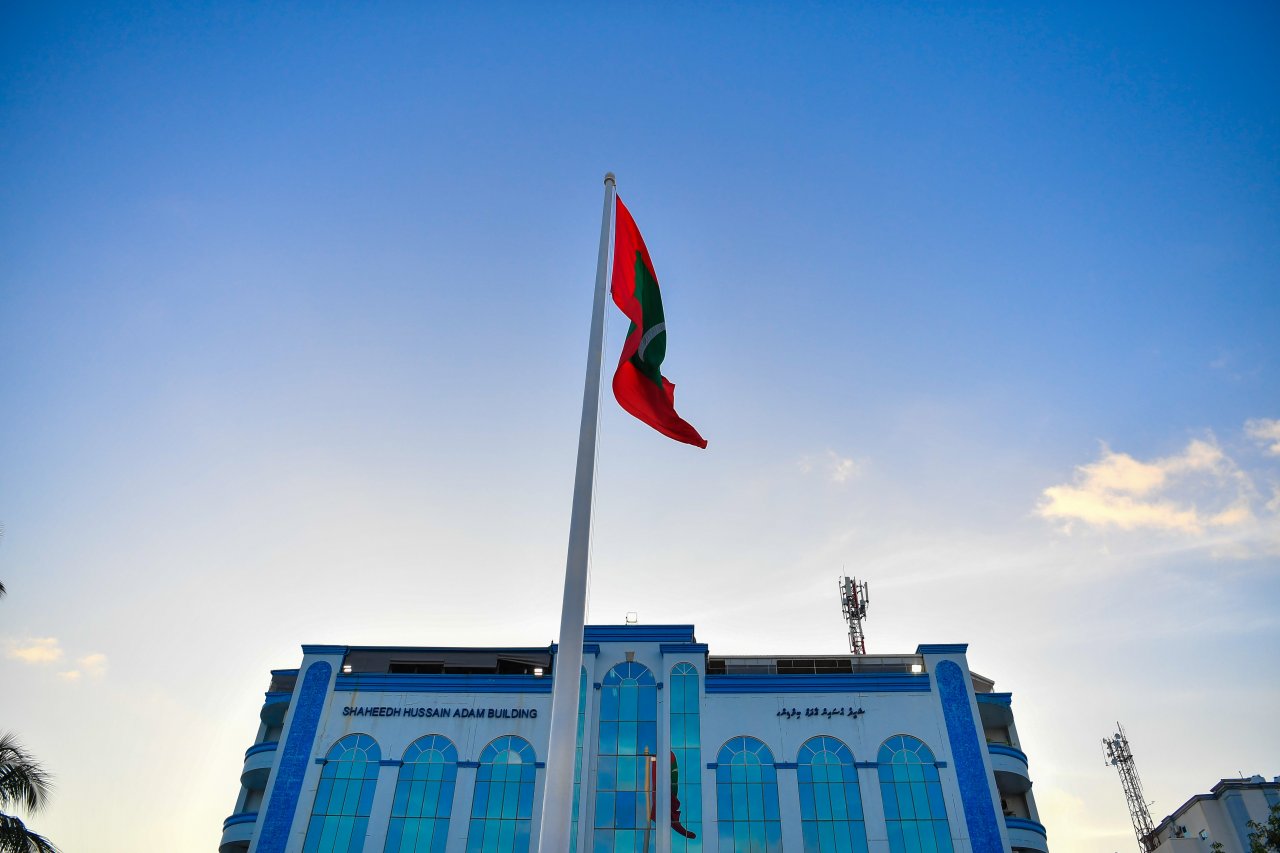 ގައުމީ ދުވަހުގެ ދިދަ ނެގުން 