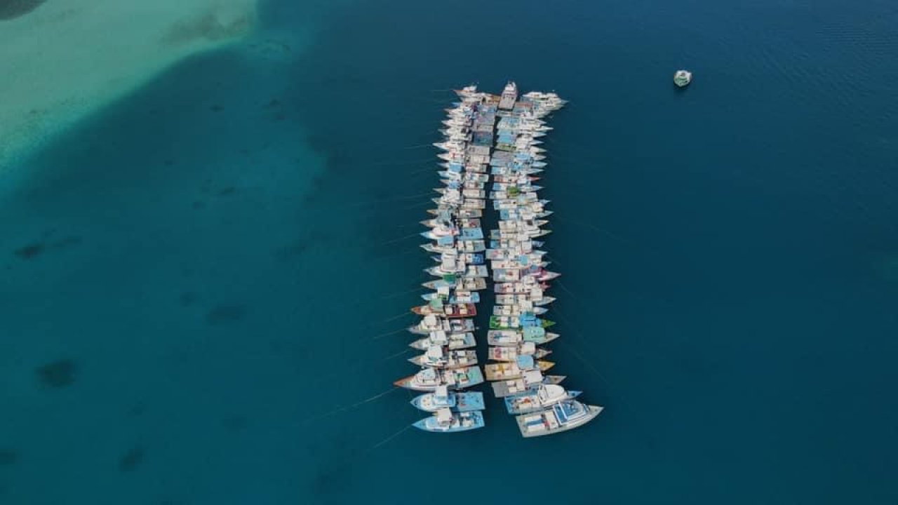 ބޮޑު ކަންނެލީގެ މަސްވެރިން އަޑުއުފުލުން ކަނޑުމަތީގައި