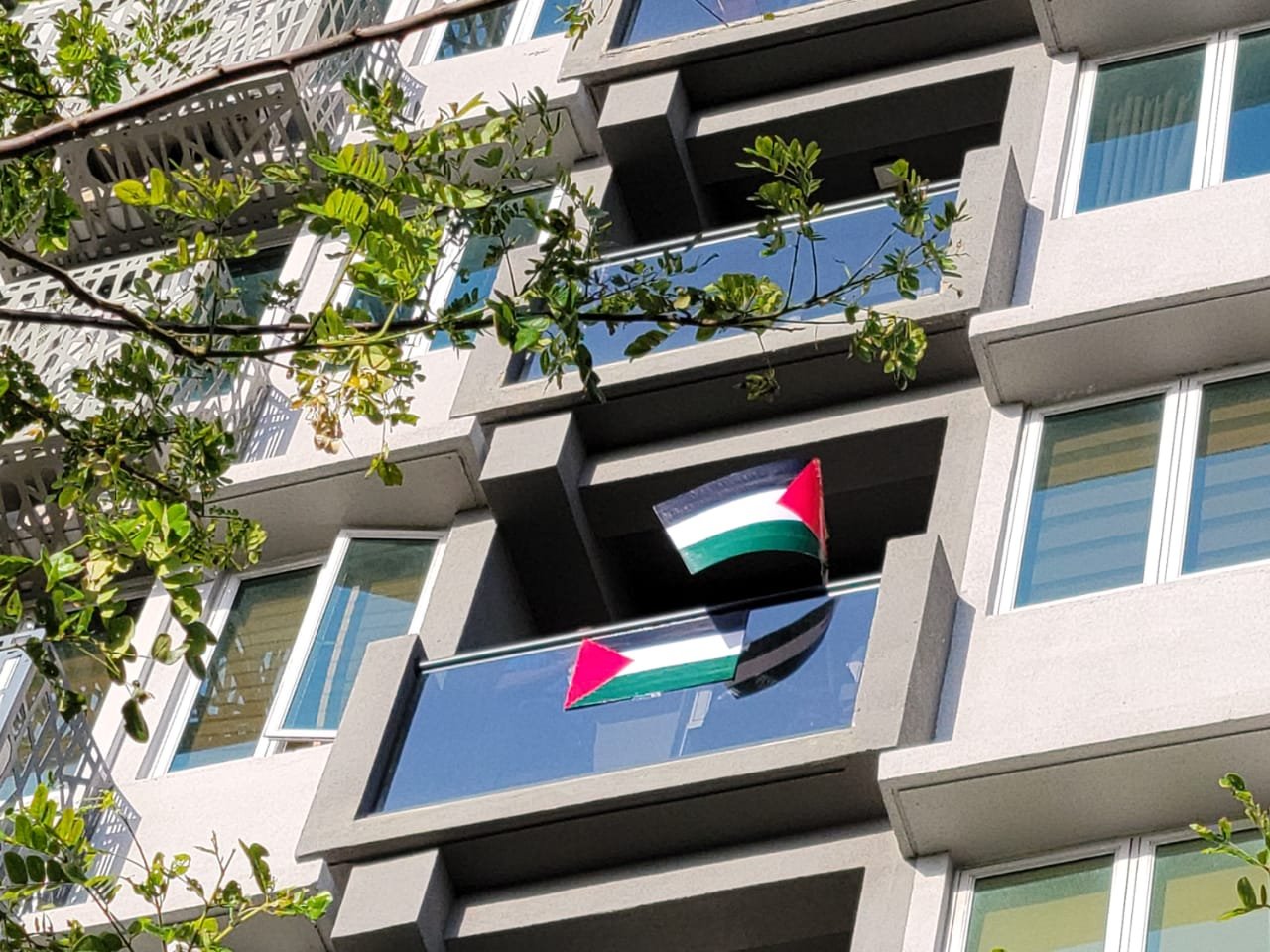 ފަލަސްތީނަށް ދިވެހިން އޮންނަ ލޯބި ދިދައިން ދައްކާލުން