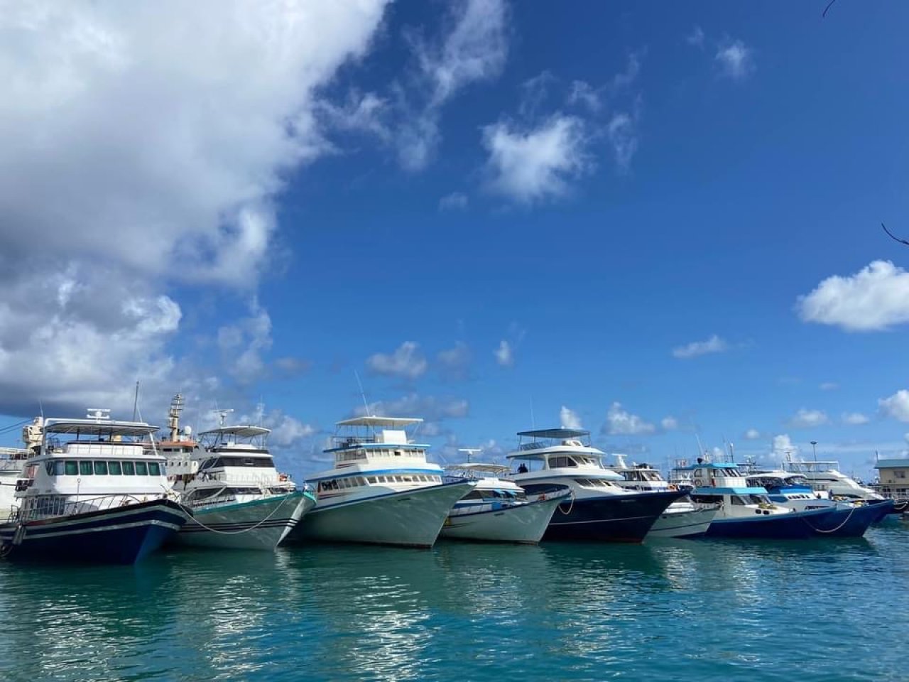 ބާނާ މަސް ނުކިރޭތީ ދެކުނުގެ މަސްވެރިން ކޫއްޑޫގައި ކުރާ މުޒާހަރާ