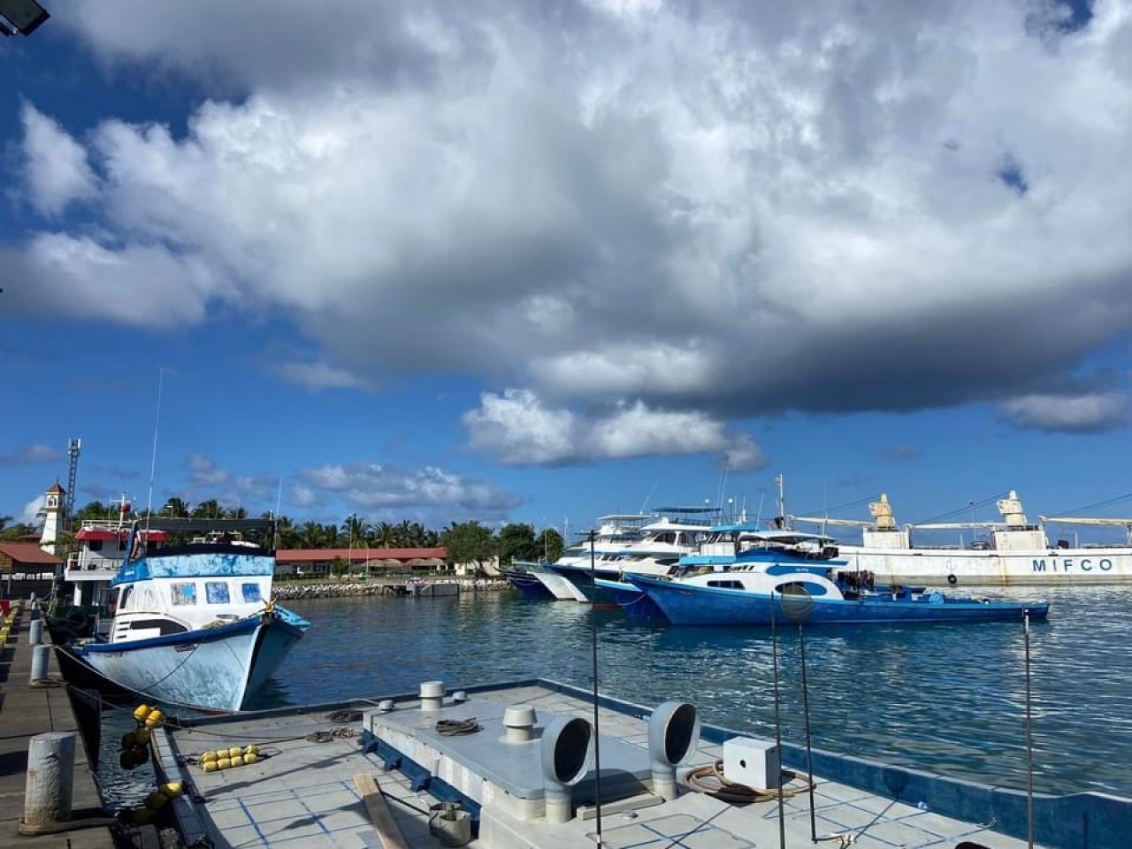 ބާނާ މަސް ނުކިރޭތީ ދެކުނުގެ މަސްވެރިން ކޫއްޑޫގައި ކުރާ މުޒާހަރާ