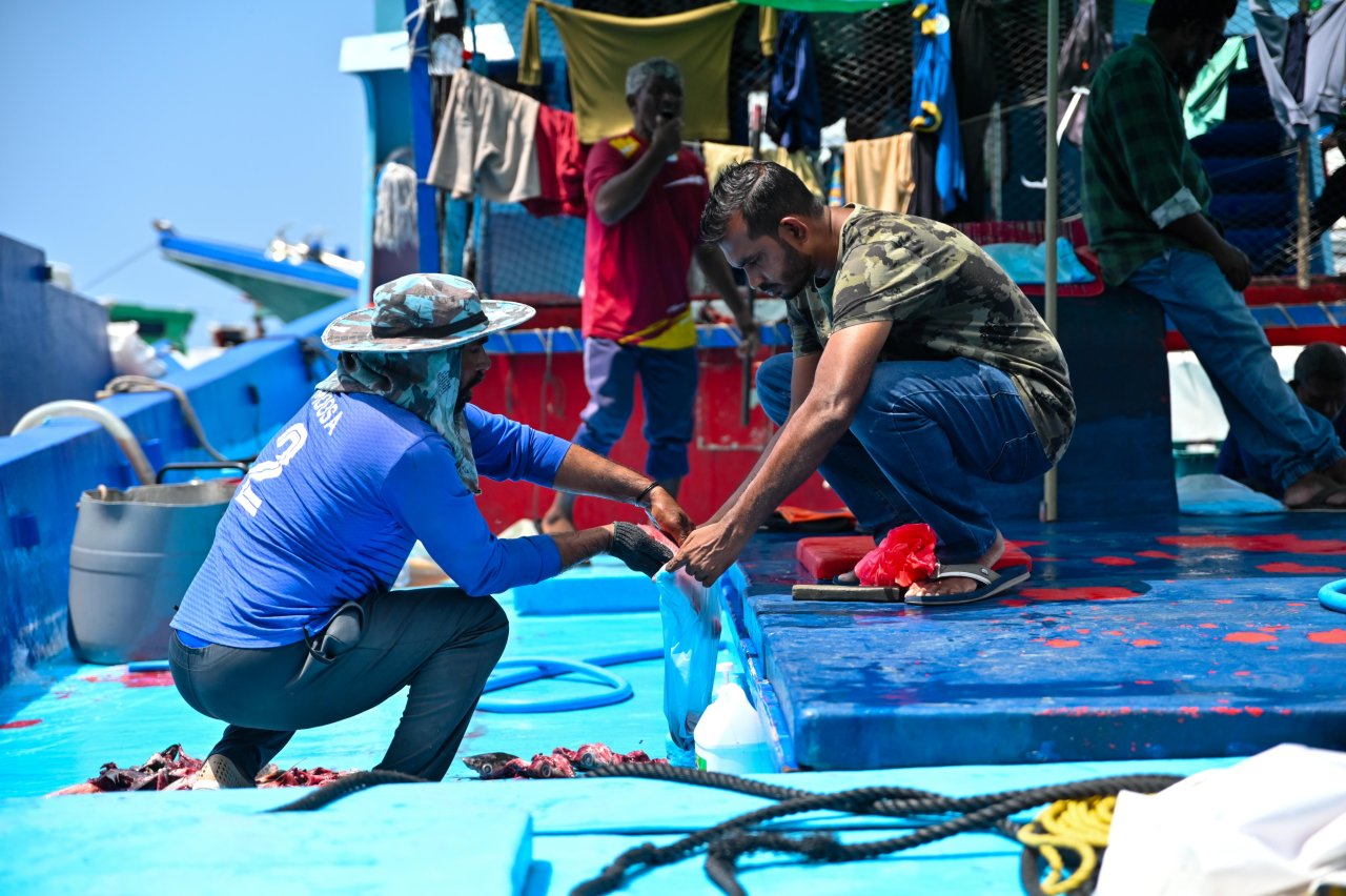 ރޯދަ މަހަށް ބާޒާރުމަތި ބިޒީވެފައި