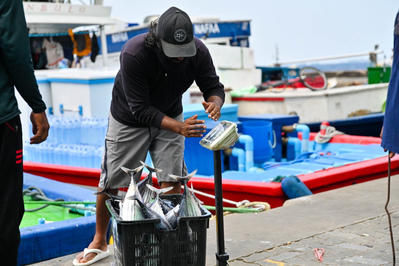 ރޯދަ މަހަށް ބާޒާރުމަތި ބިޒީވެފައި