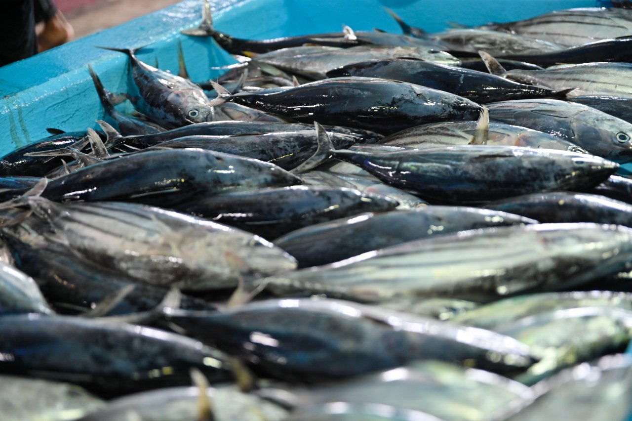 ރޯދަ މަހަށް ބާޒާރުމަތި ބިޒީވެފައި