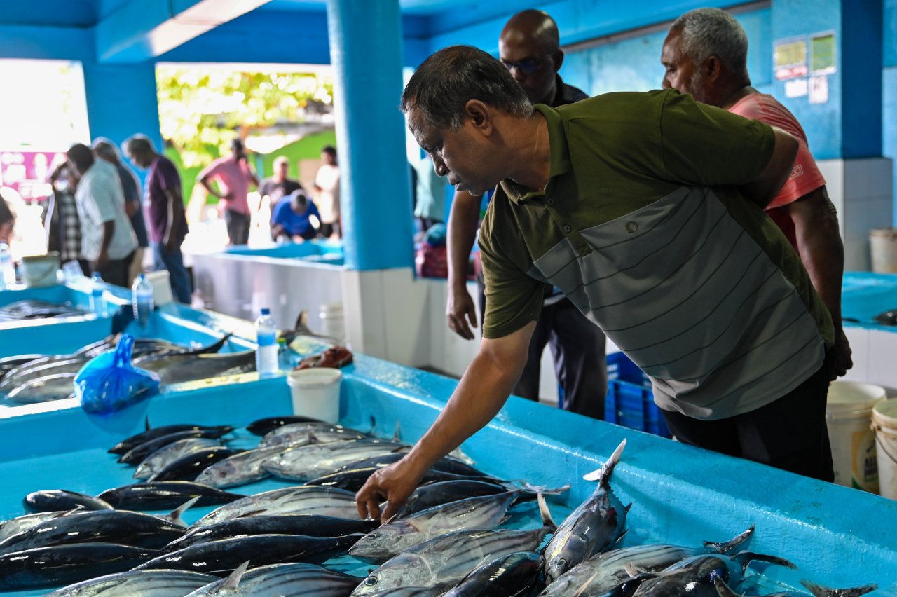 ރޯދަ މަހަށް ބާޒާރުމަތި ބިޒީވެފައި