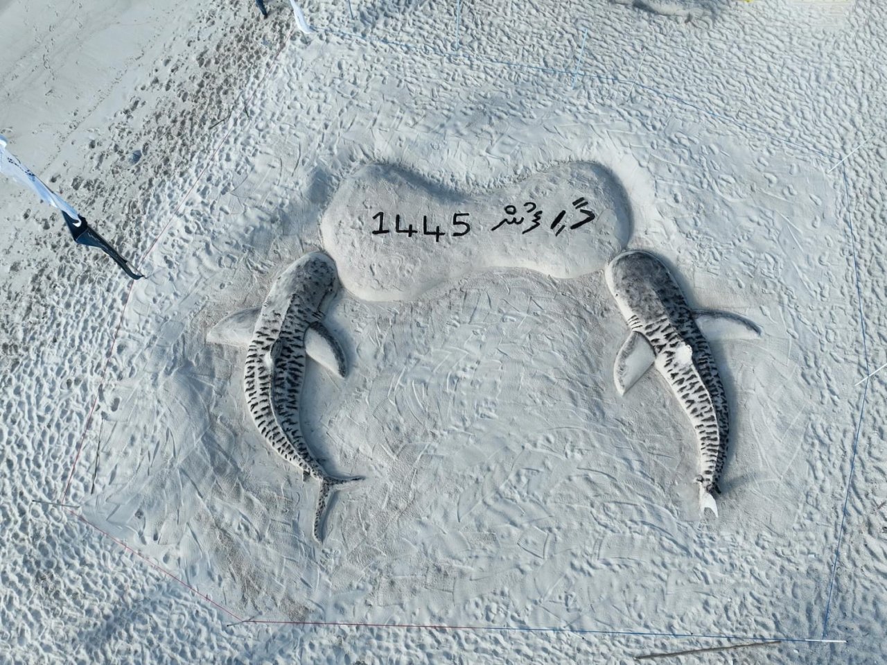 ފުވައްމުލަކު ތުނޑީގައި ބޭއްވި 