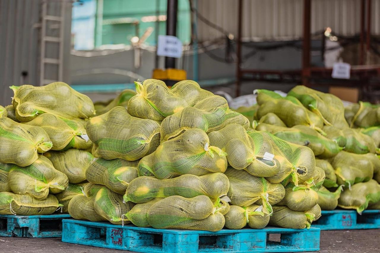 ރޯދަމަހާ ދިމާކޮށް ބޭރުން ގެންނަ މުދާ ކްލިއާކުރުން