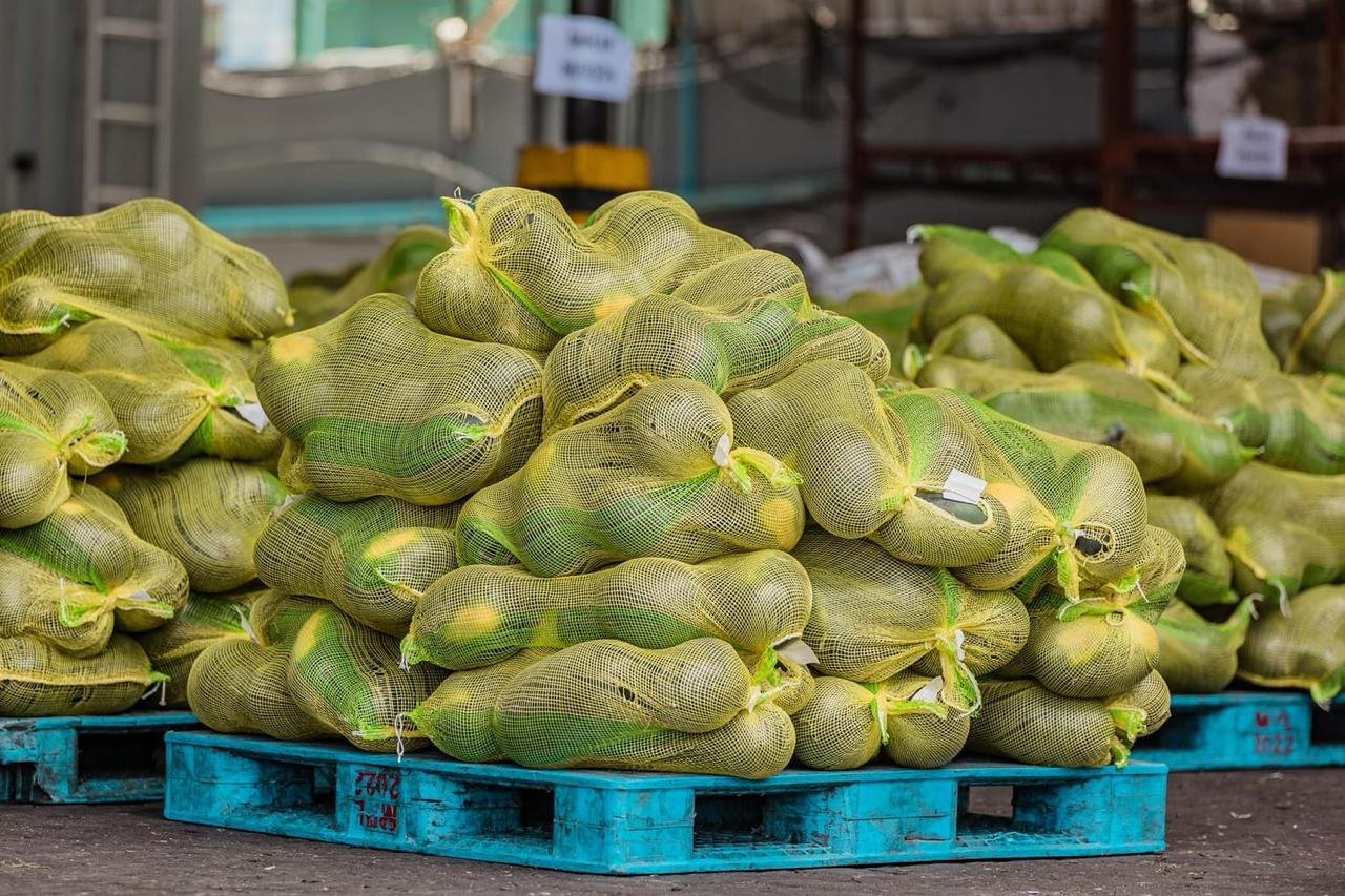 ރޯދަމަހާ ދިމާކޮށް ބޭރުން ގެންނަ މުދާ ކްލިއާކުރުން