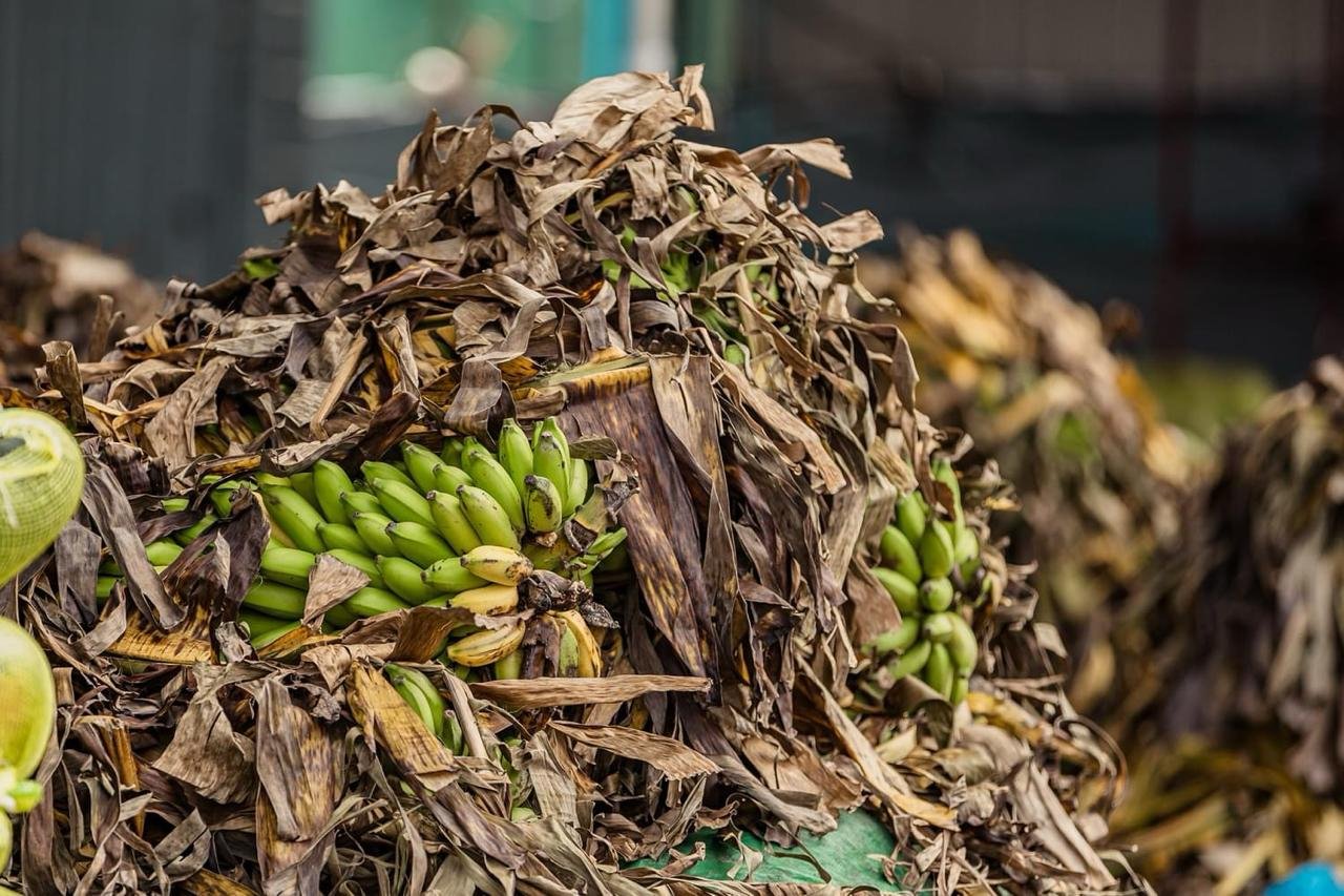 ރޯދަމަހާ ދިމާކޮށް ބޭރުން ގެންނަ މުދާ ކްލިއާކުރުން