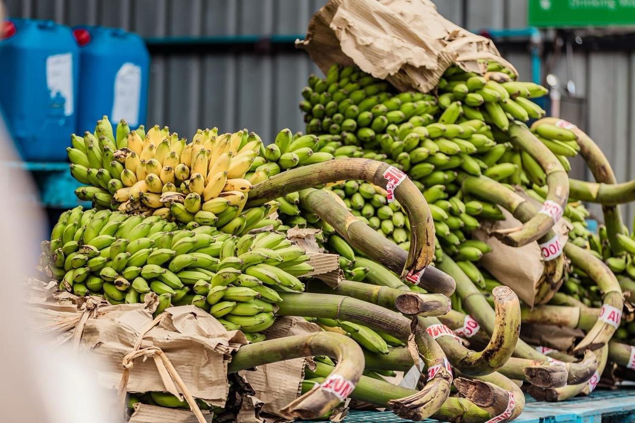 ރޯދަމަހާ ދިމާކޮށް ބޭރުން ގެންނަ މުދާ ކްލިއާކުރުން