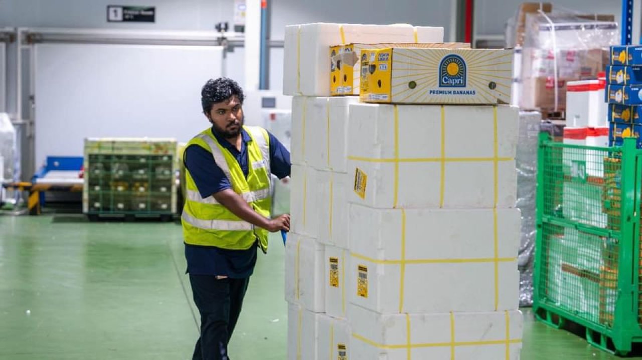 ވީއައިއޭގެ އާ ކާގޯ ޓާމިނަލްގެ ހީވާގި މުވައްޒަފުންގެ ހިދުމަތް