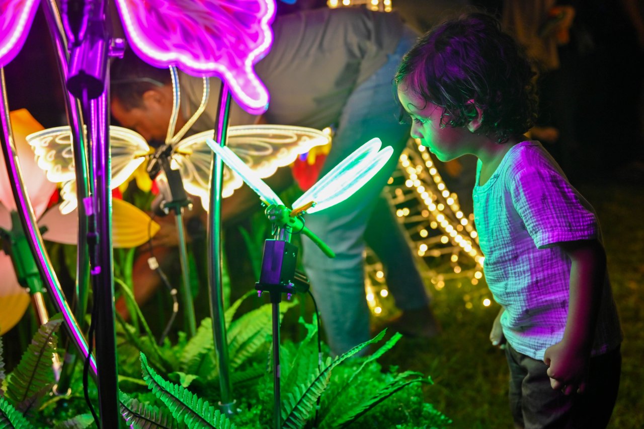 އީދަށް އެކި ކުލަކުލައިން މާލެ ދިއްލާލާފައި