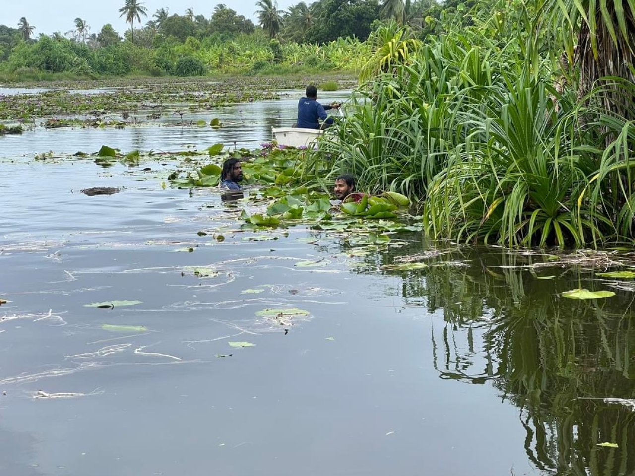 ފުވައްމުލަކުގެ ހިތްގައިމު 