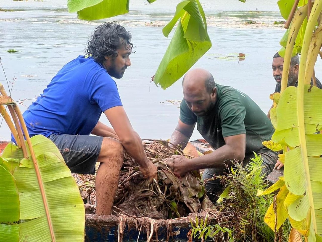 ފުވައްމުލަކުގެ ހިތްގައިމު 