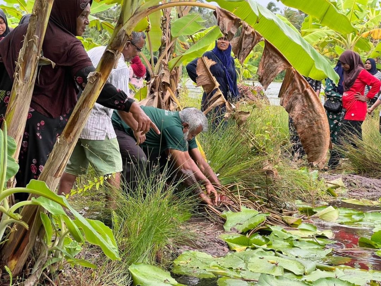 ފުވައްމުލަކުގެ ހިތްގައިމު 