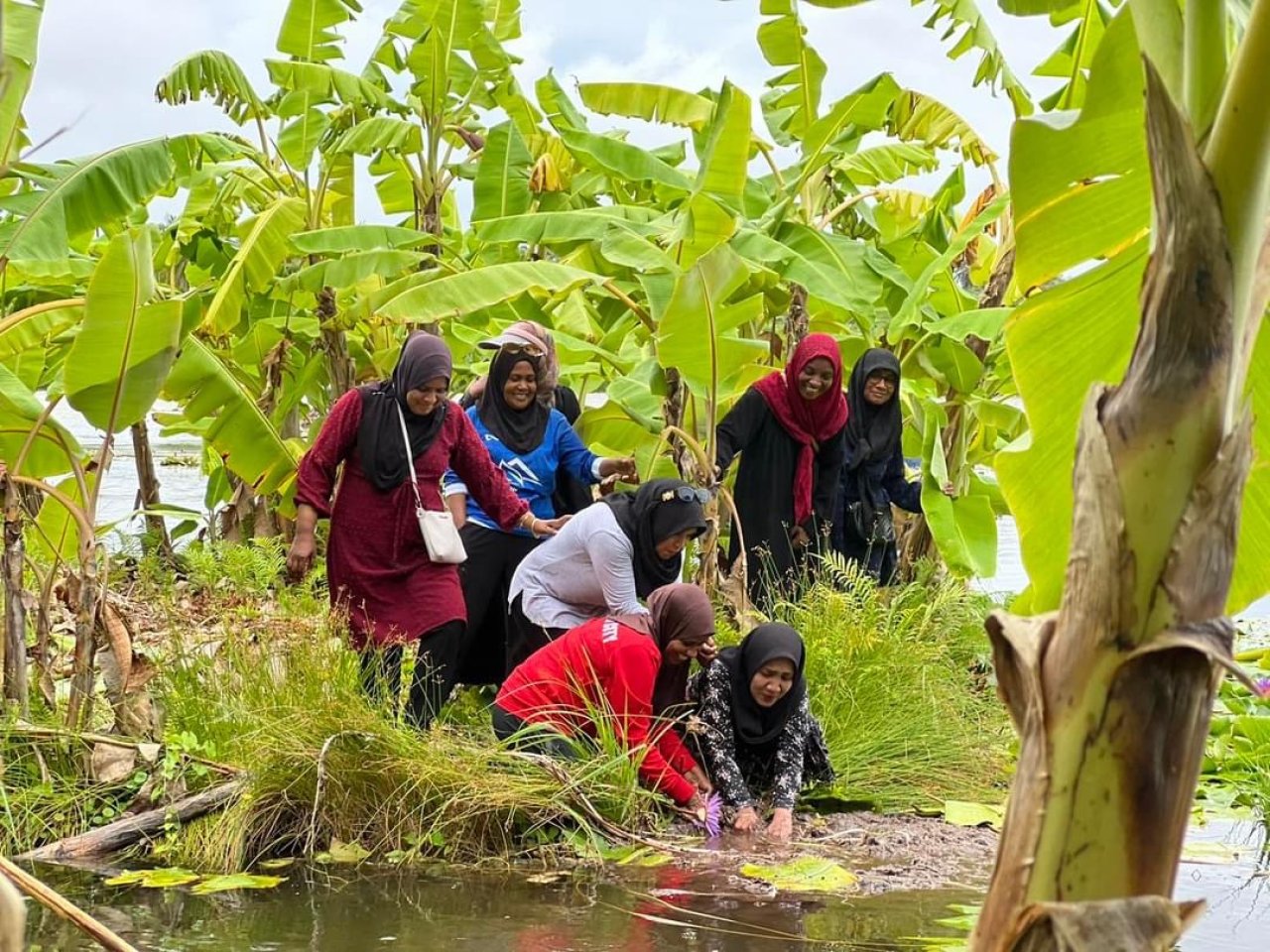 ފުވައްމުލަކުގެ ހިތްގައިމު 