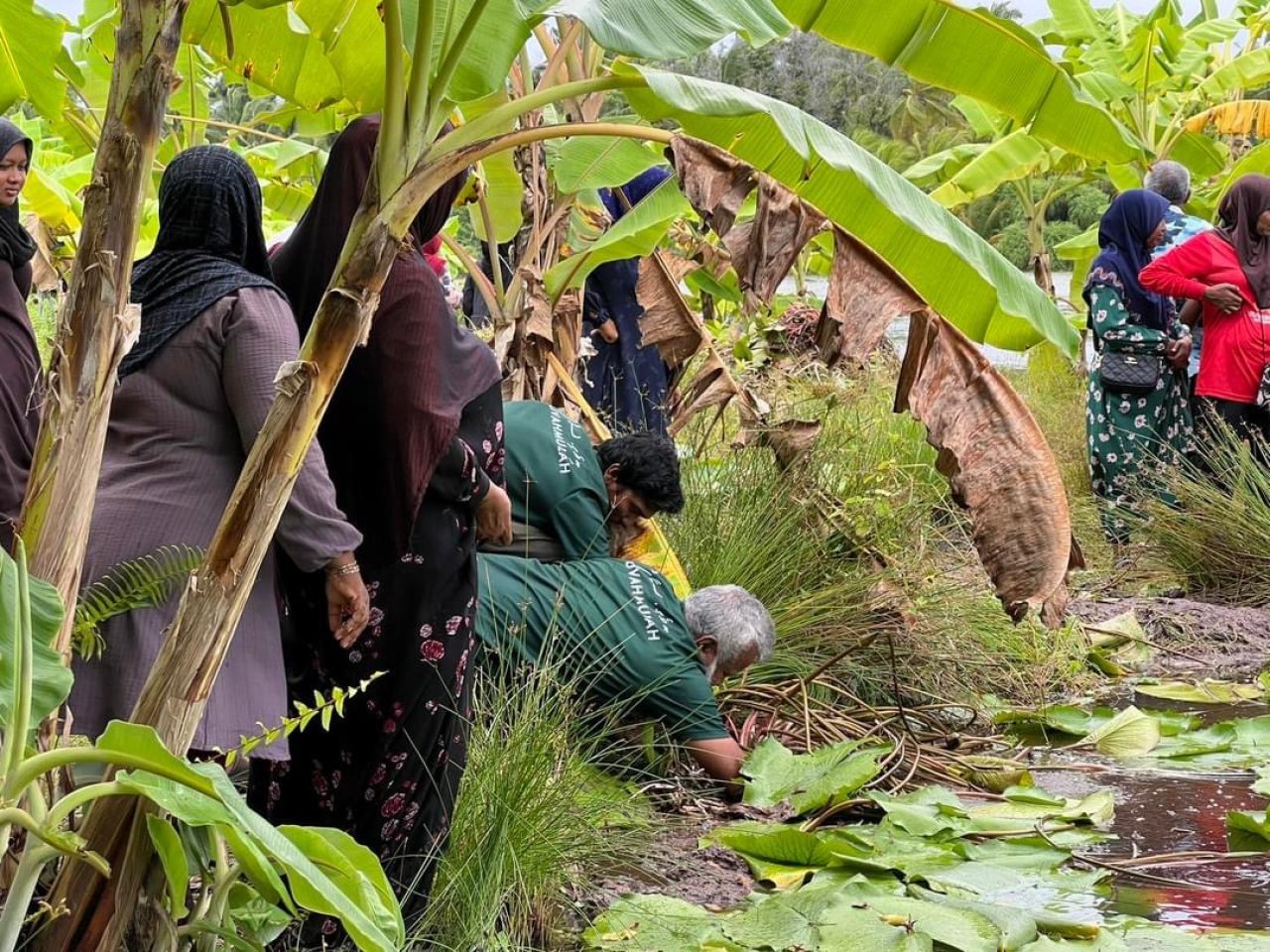 ފުވައްމުލަކުގެ ހިތްގައިމު 