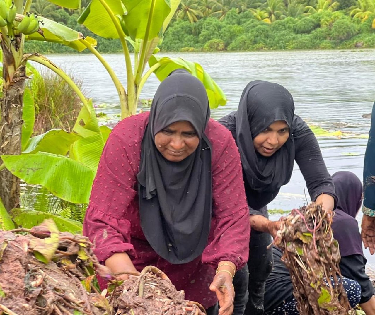 ފުވައްމުލަކުގެ ހިތްގައިމު 