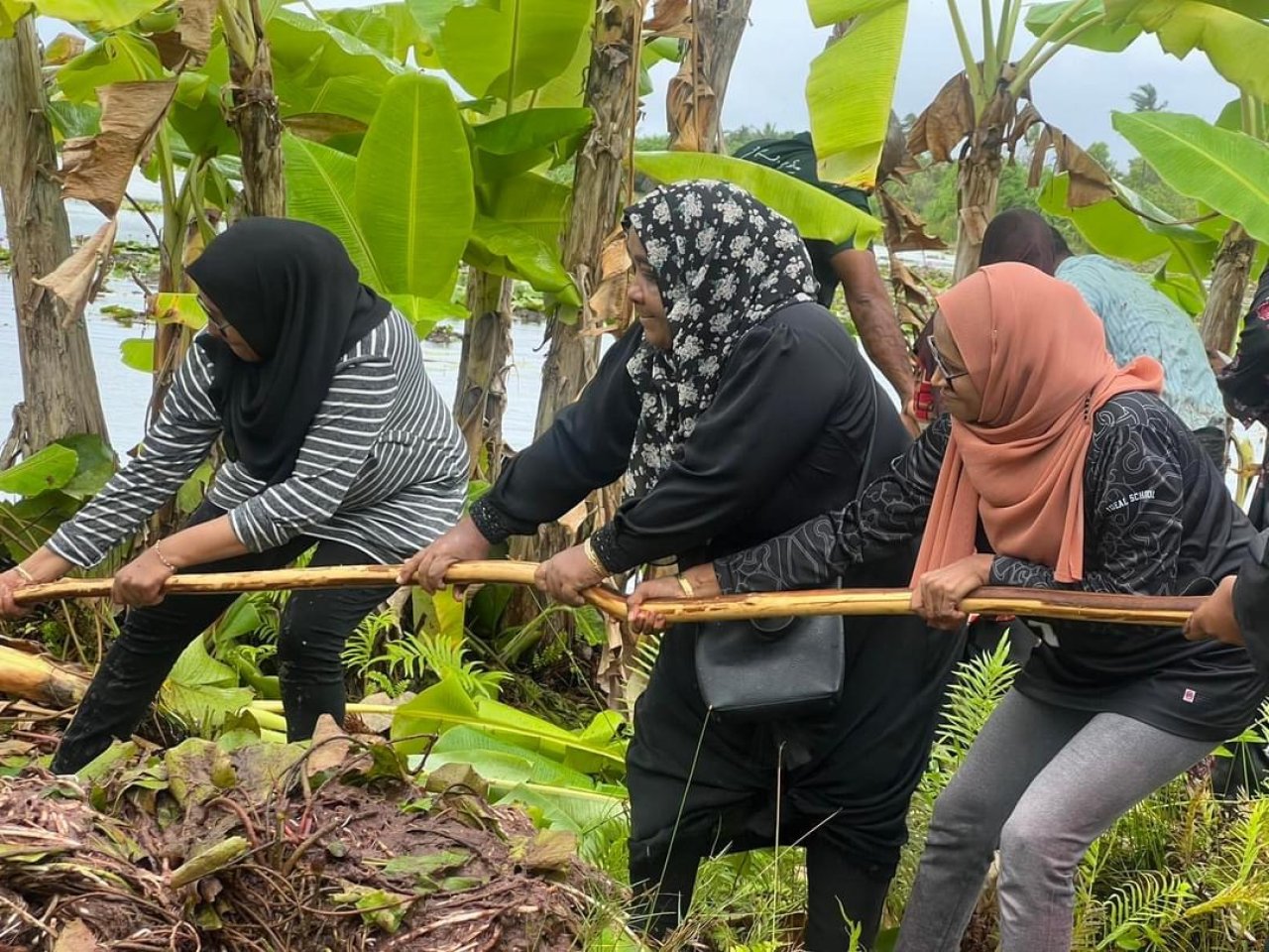 ފުވައްމުލަކުގެ ހިތްގައިމު 