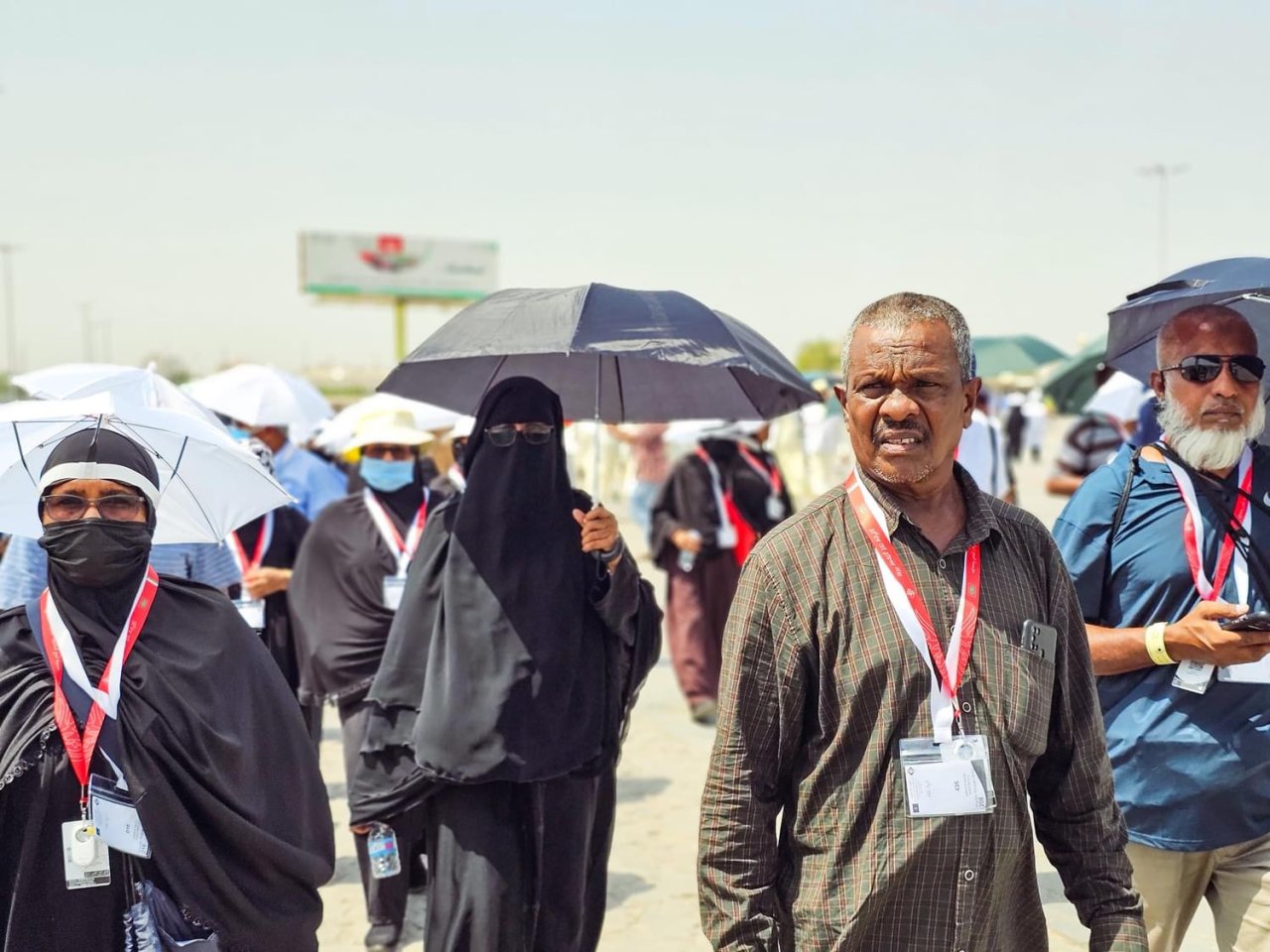 ދިވެހި ހައްޖުވެރިން މަދީނާގައި