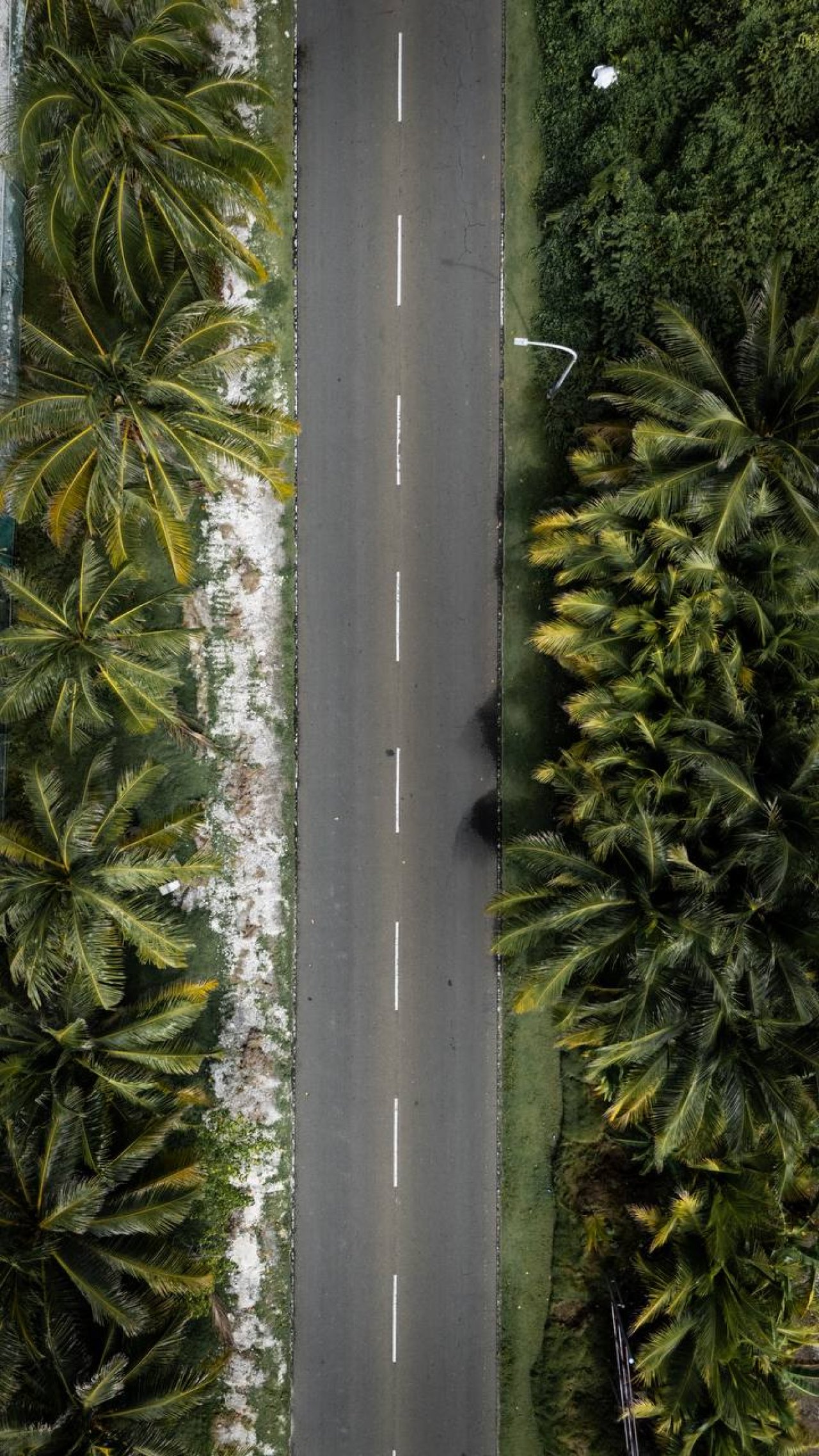 ފުވައްމުލަކުގެ އެކި ސަރަައްދުތައް މަތިން ފެންނަ ގޮތް