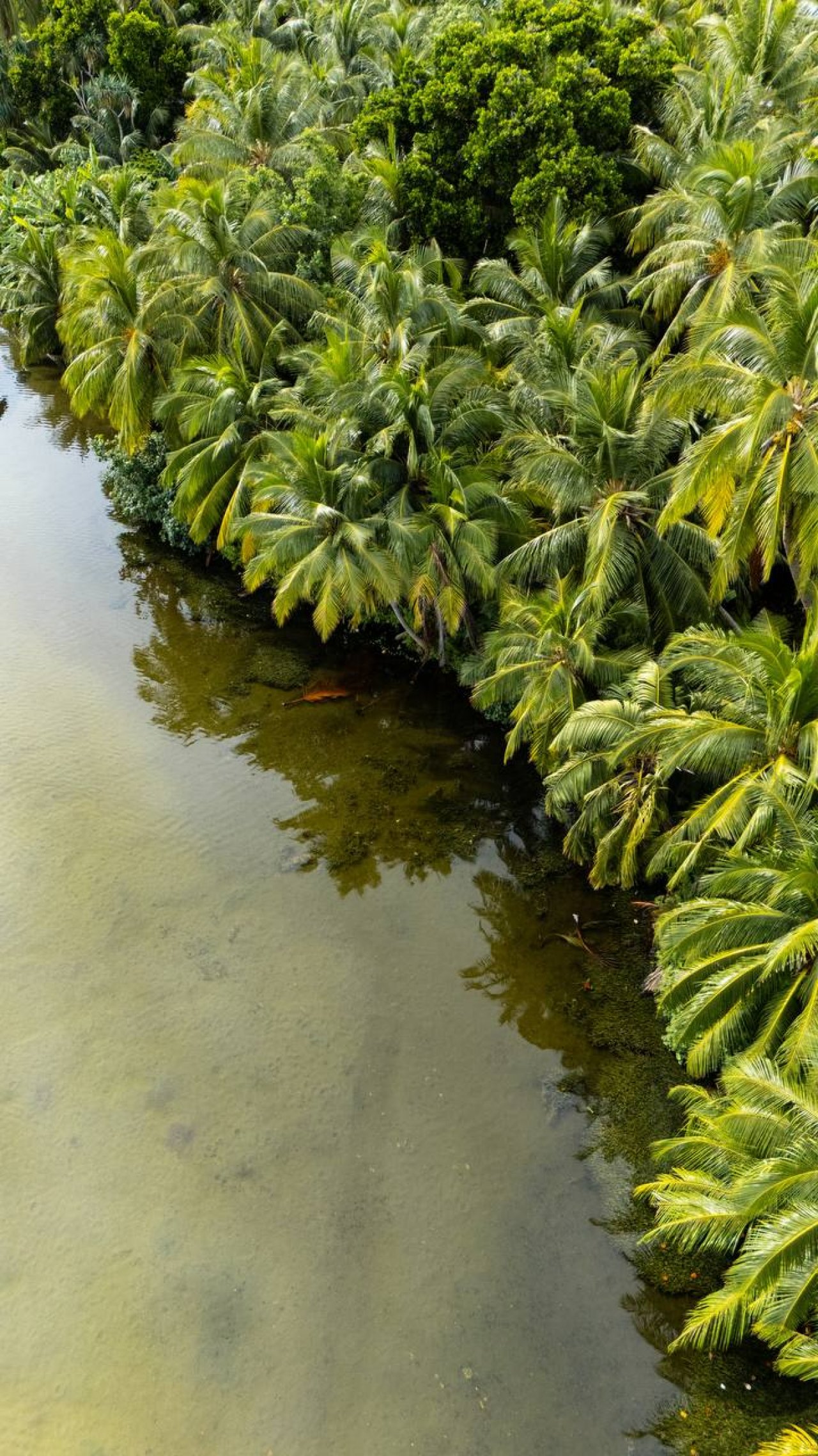 ފުވައްމުލަކުގެ އެކި ސަރަައްދުތައް މަތިން ފެންނަ ގޮތް