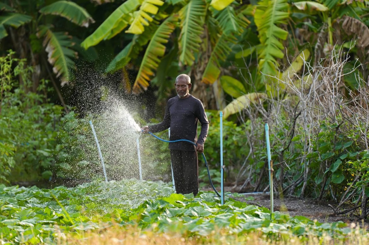 ރޯދަ ކުރުކުރުން ފުވައްމުލަކުން