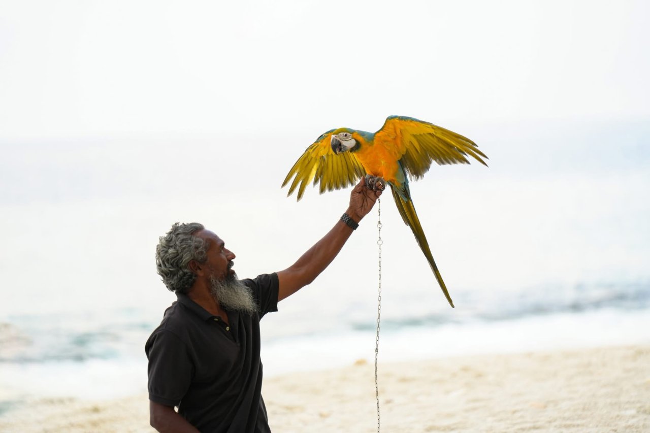 ރޯދަ ކުރުކުރުން ފުވައްމުލަކުން