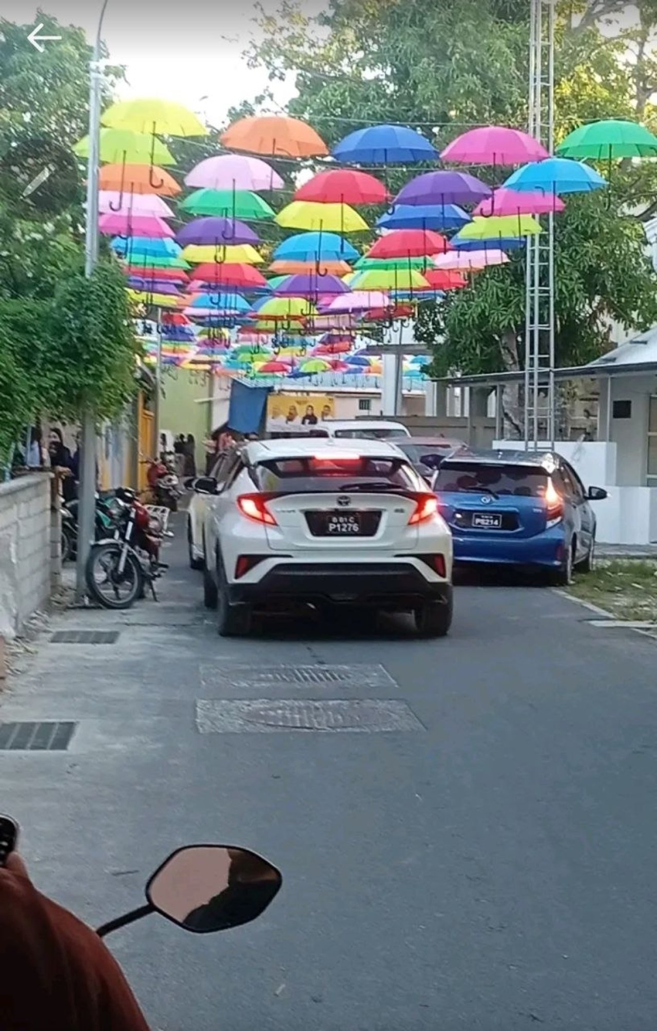ފުވައްމުލަކުގައި އެކި ކުލަތަކުގެ ކުޑަތަކެއް އެލުވާފައިވާ ހިތްގައިމު މަގު
