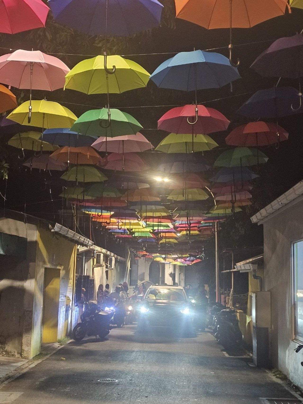 ފުވައްމުލަކުގައި އެކި ކުލަތަކުގެ ކުޑަތަކެއް އެލުވާފައިވާ ހިތްގައިމު މަގު