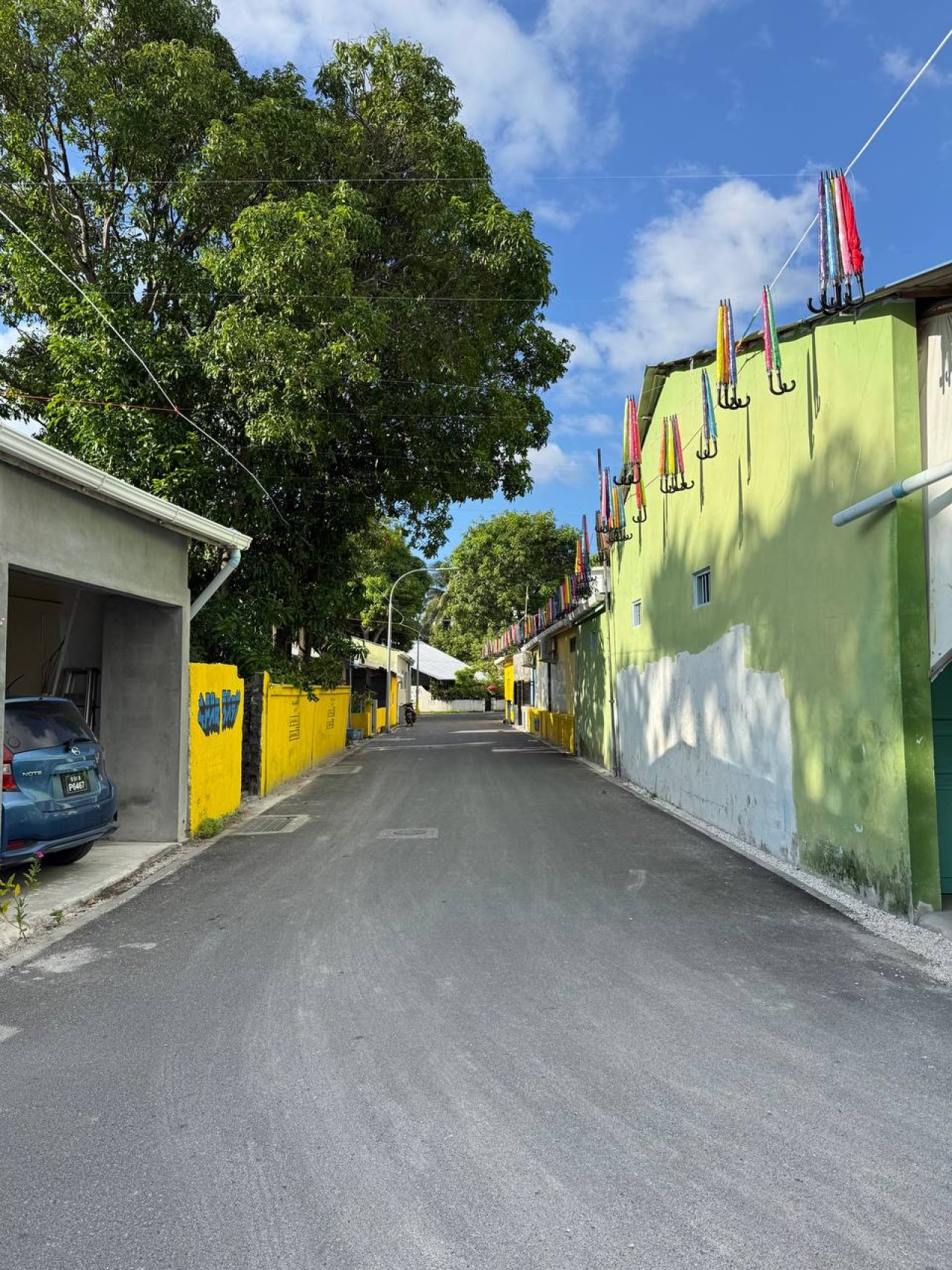 ފުވައްމުލަކުގައި އެކި ކުލަތަކުގެ ކުޑަތަކެއް އެލުވާފައިވާ ހިތްގައިމު މަގު