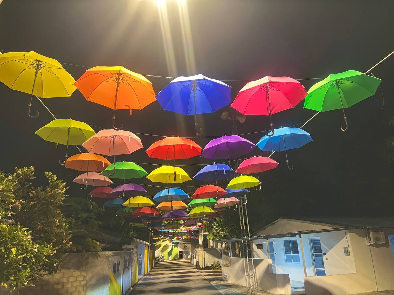 ފުވައްމުލަކުގައި އެކި ކުލަތަކުގެ ކުޑަތަކެއް އެލުވާފައިވާ ހިތްގައިމު މަގު