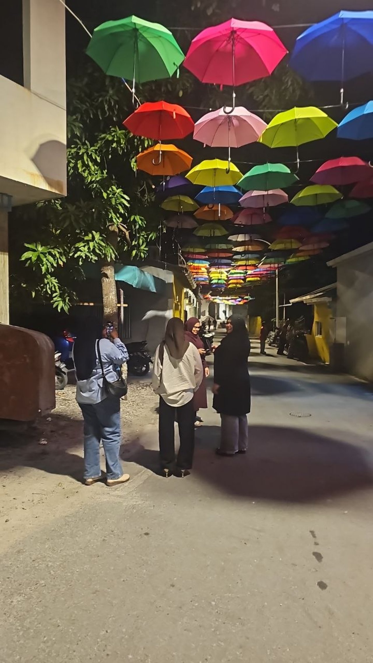 ފުވައްމުލަކުގައި އެކި ކުލަތަކުގެ ކުޑަތަކެއް އެލުވާފައިވާ ހިތްގައިމު މަގު