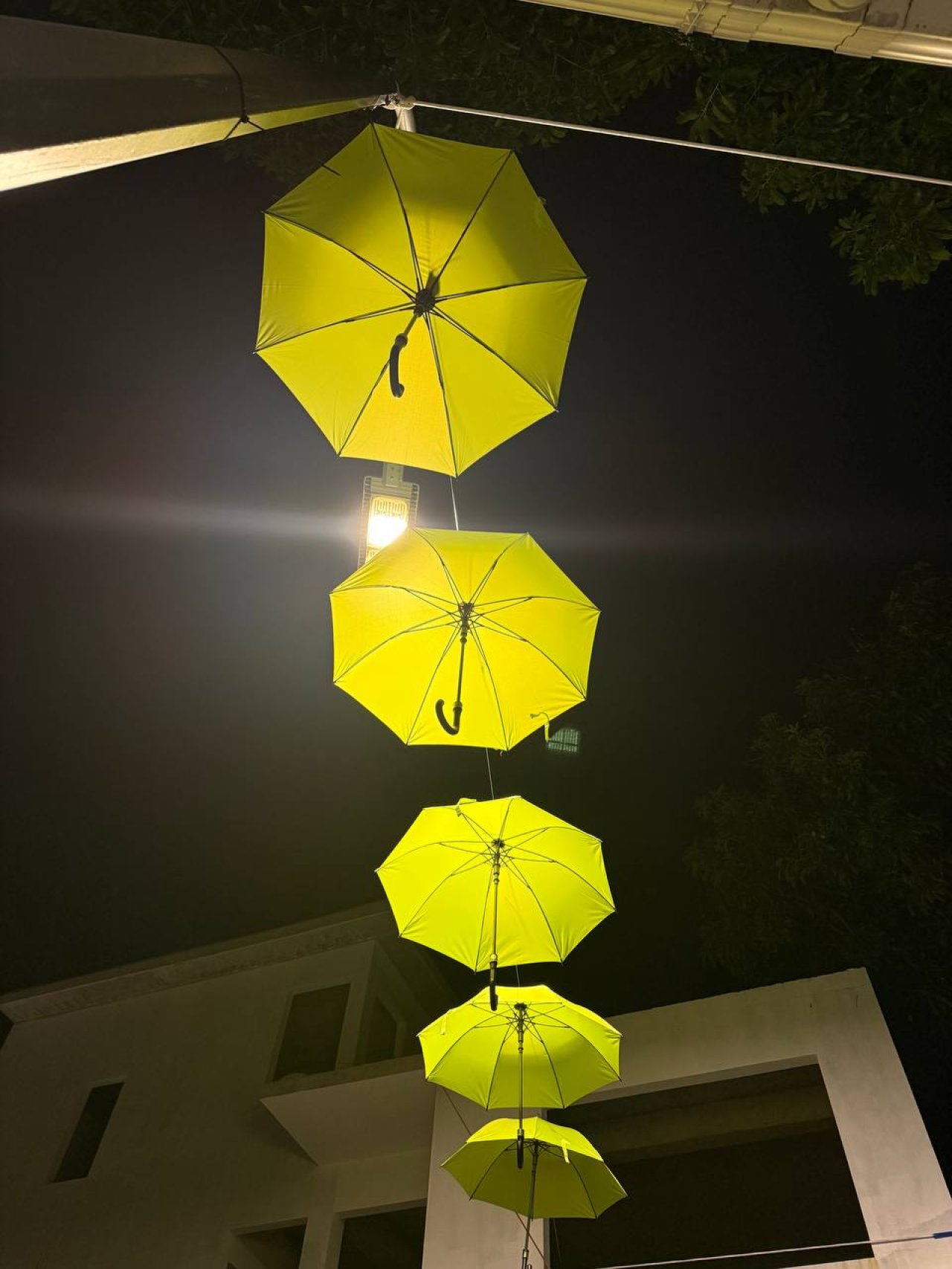 ފުވައްމުލަކުގައި އެކި ކުލަތަކުގެ ކުޑަތަކެއް އެލުވާފައިވާ ހިތްގައިމު މަގު