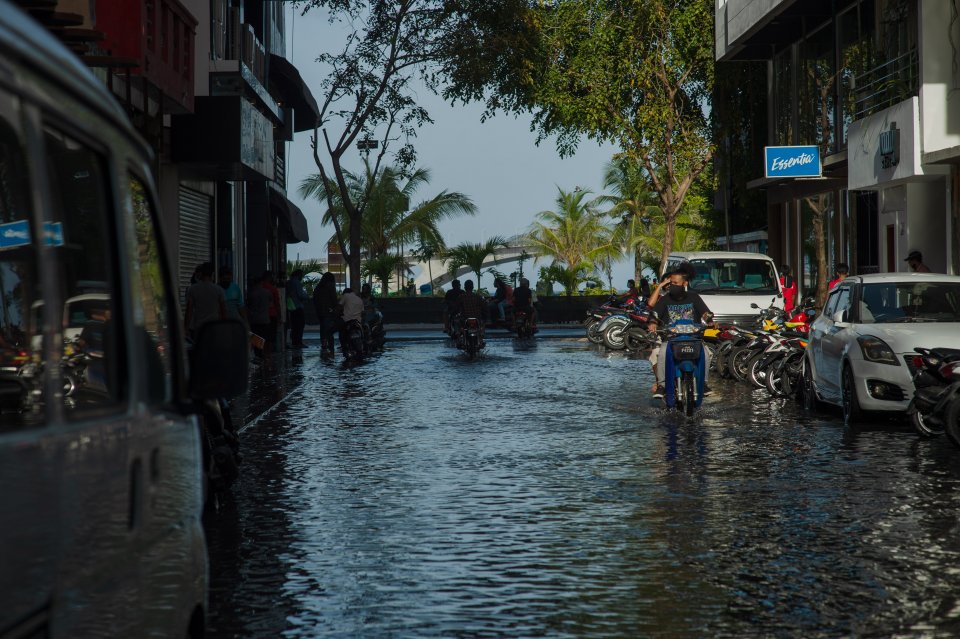 New Gallery created at 31 Aug 2020, 13:30