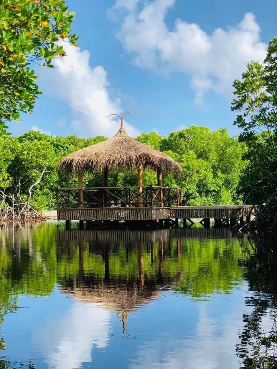 Kumundhoo ge nature park varah hihgaimu