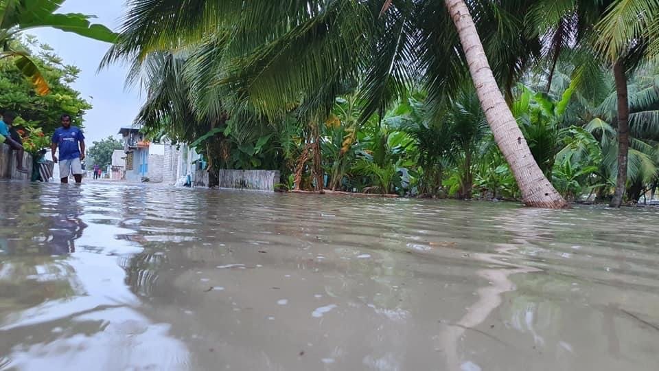 Narudhu ah udha araa bodethi gellun thakeh vejje