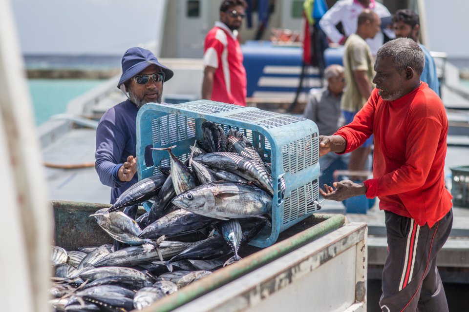 Raajje himeney sarahahdhuge masverikan kurieruvumah world bank ge khaassa mashroo eh