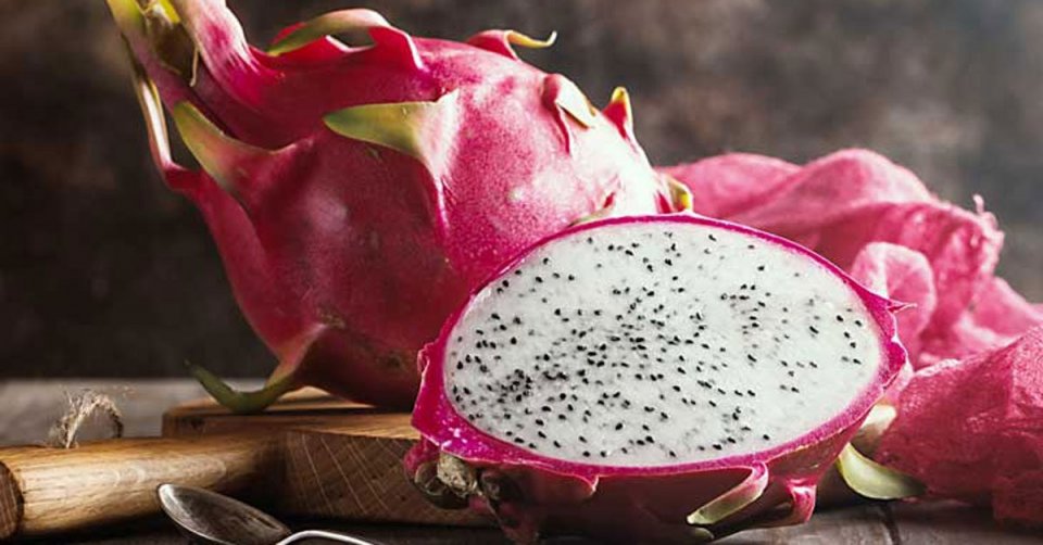 Dragon fruit ge nan china aa gulheythy india in nan badhalukohfi