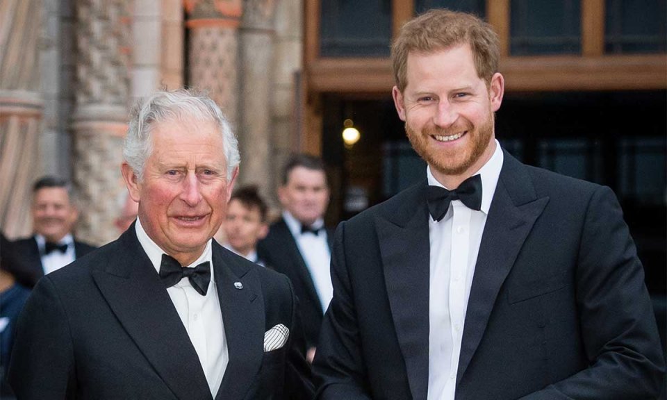 Bappa kanthah kurevvi gothaamedhu hithaamakuran: Prince Harry