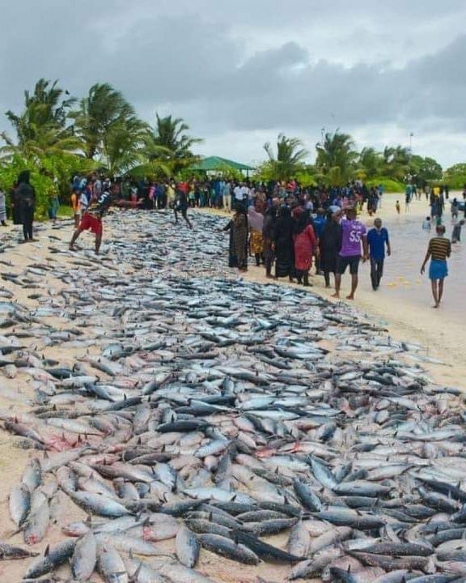 Dhihdhoo ah raagondi aineh