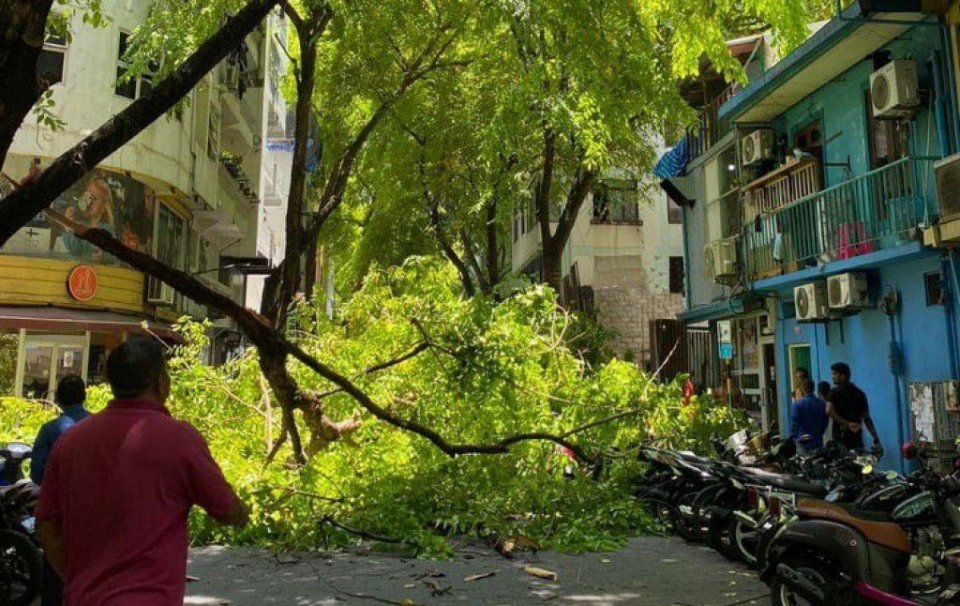 Gahegge gofigandeh vetti Sosan magu ge baeh block vejje 