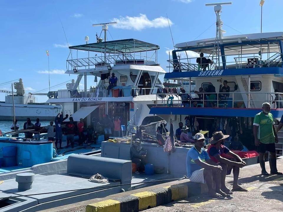 Mihaaru 600 tonn ge mas ganevijje, Honihiru dhuvahu que nimeyne: MIFCO