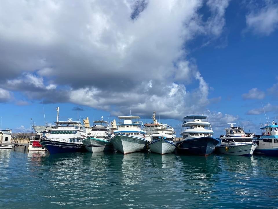 Kooddoo gai thibi dhoani thakuge hurihaa maheh kiraa gothah sarukaarun ninmaifi