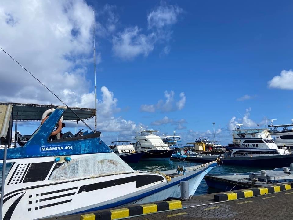 Dhekunu ge vaseelaithah tharahgee kuran thanfeezee maruhalaa varah avahah fesheyne: MIFCO