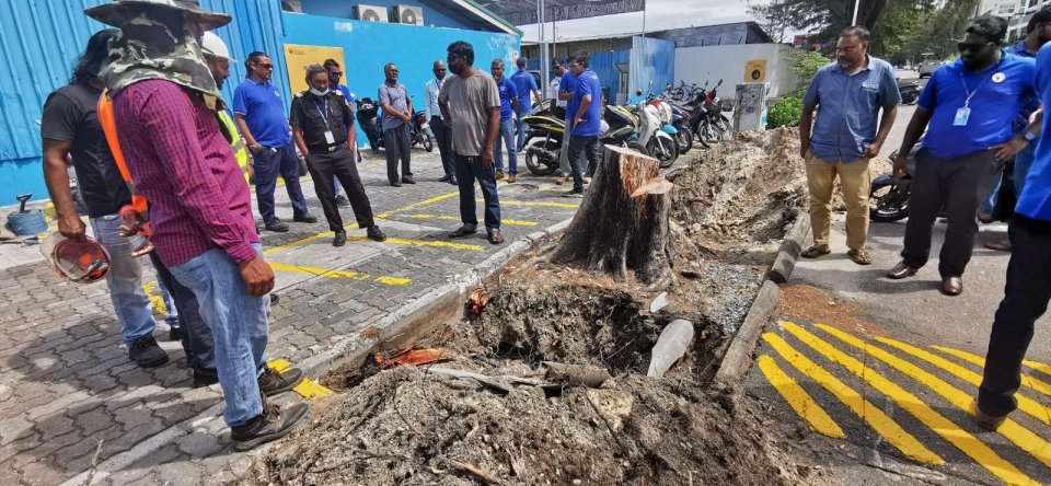 UPDATED: Greater male' interconnection grid operation ah genes alun karantu dheefi