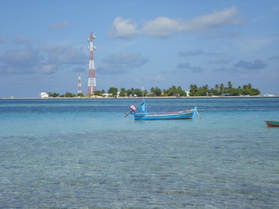 Dhiggaru council ge bi election bavvanee