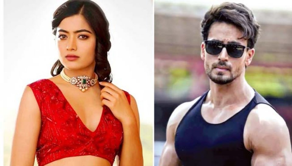 Tiger aai Rashmika ge film shooting september mahu fashanee