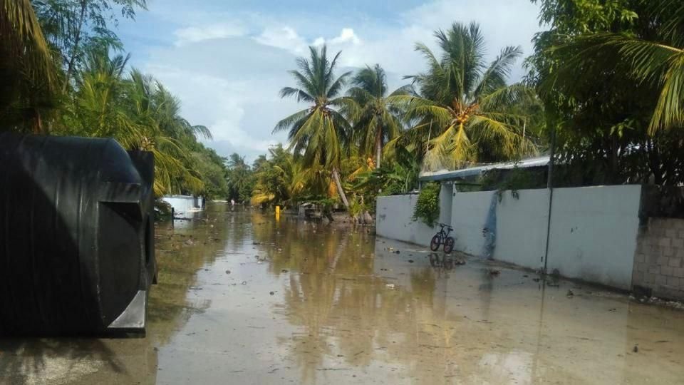 Vissaraigai emmen bodu gellun libuny dhanduverinnah: NDMA