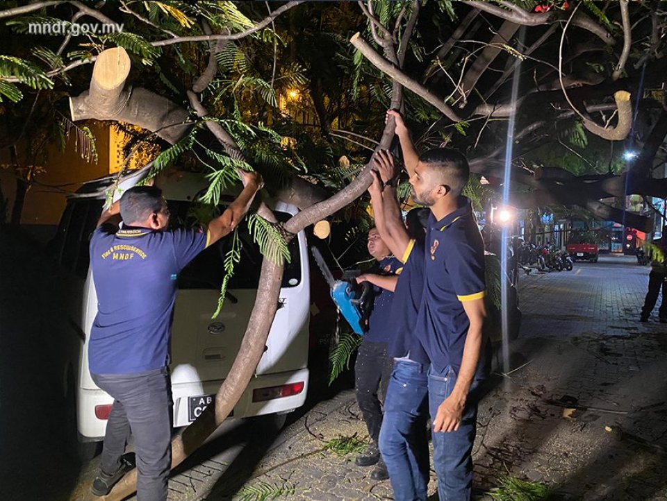 Male gai gaheh vetti 2 geashaai vehicle thaakah gellun vejje